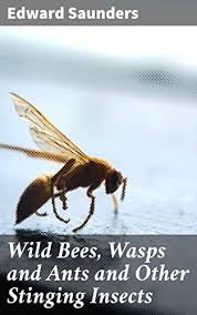 Wild Bees, Wasps and Ants and Other Stinging Insects